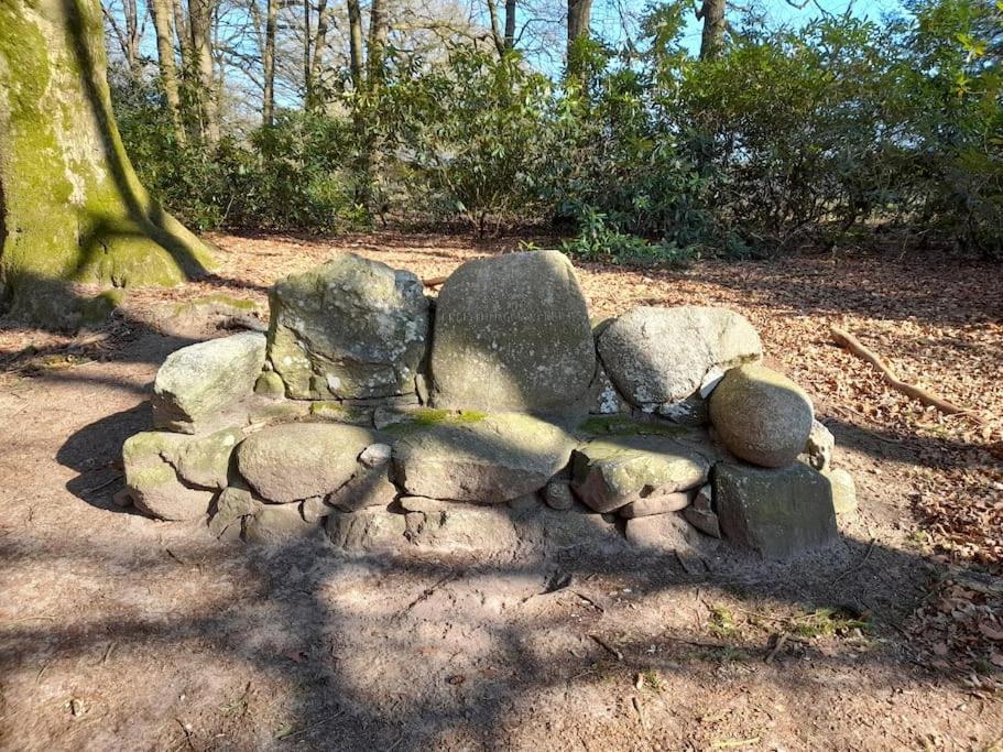 Gezellig ingerichte blokhut op een rustig park! Putten Buitenkant foto